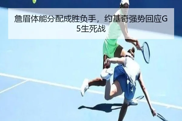 詹眉体能分配成胜负手，约基奇强势回应G5生死战