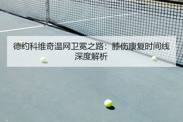 de-yue-ke-wei-qi-wen-wang-wei-mian-zhi-lu-xi-shang-kang-fu-shi-jian-xian-shen-du-jie-xi-2-377.jpg