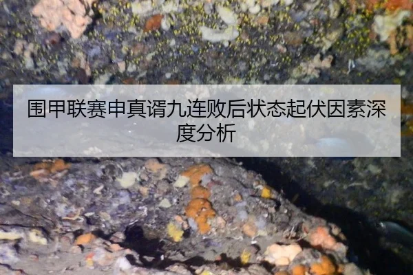 wei-jia-lian-sai-shen-zhen-xu-jiu-lian-bai-hou-zhuang-tai-qi-fu-yin-su-shen-du-fen-xi-2-638.jpg