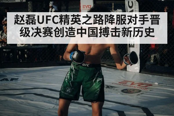 赵磊UFC精英之路降服对手晋级决赛创造中国搏击新历史