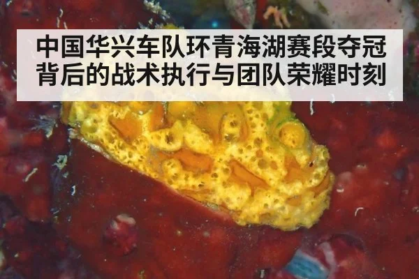 中国华兴车队环青海湖赛段夺冠背后的战术执行与团队荣耀时刻
